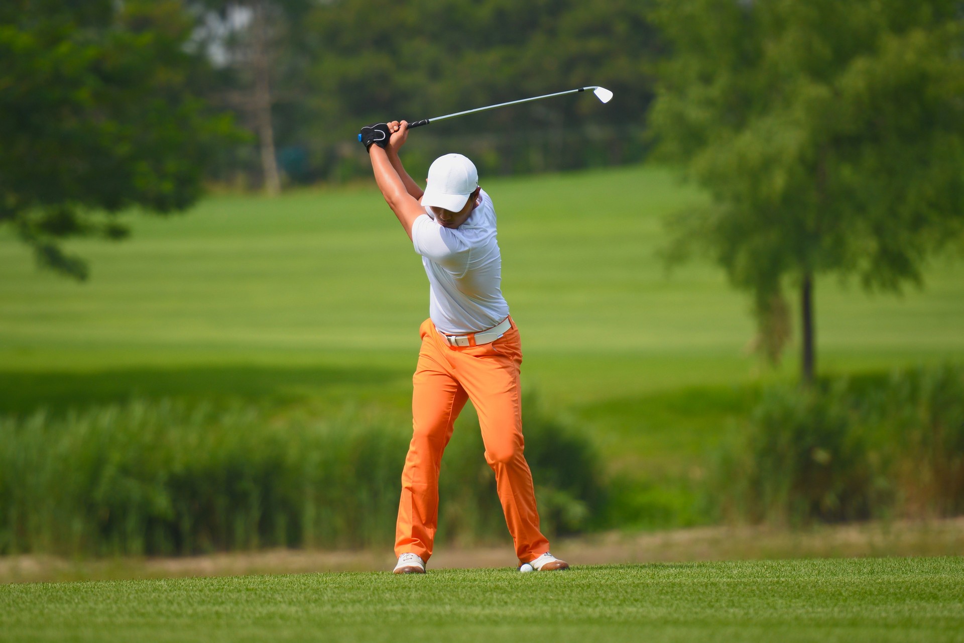 Professional Golf Swing